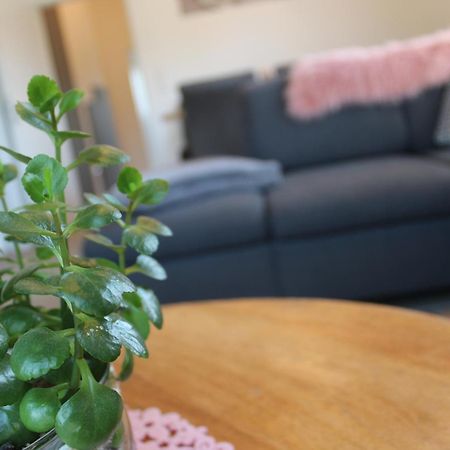 Ferienhaus Seehuis, Sauna, Angeln, Familienfreundlich Twist Exteriér fotografie