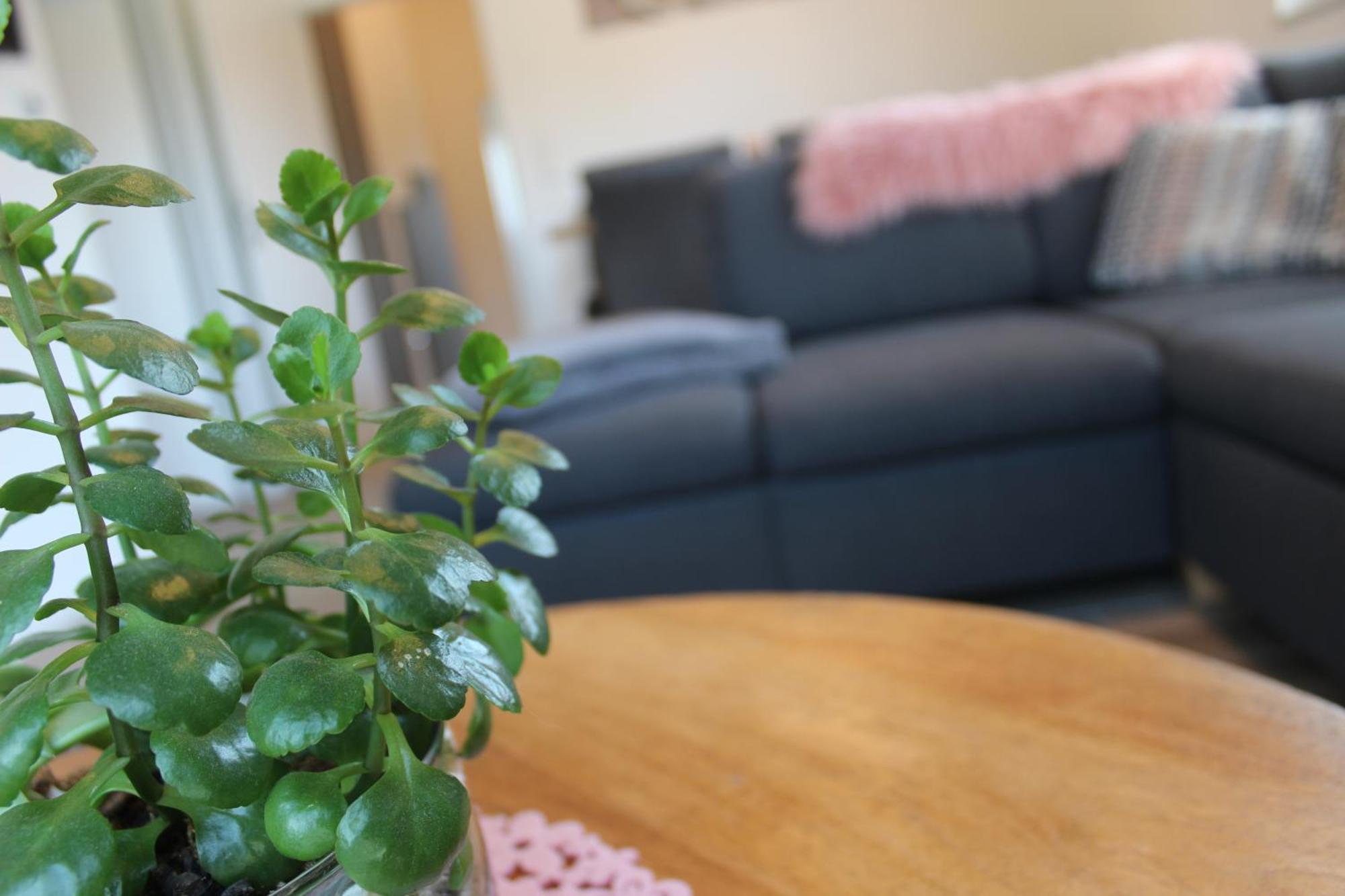 Ferienhaus Seehuis, Sauna, Angeln, Familienfreundlich Twist Exteriér fotografie